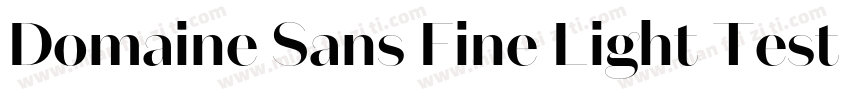 Domaine Sans Fine Light Test Regula字体转换